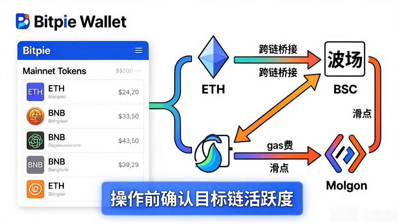 Bitpie多链钱包跨链资产管理_Bitpie多链钱包支持的资产范围_Bitpie钱包支持的币种：下载前须知